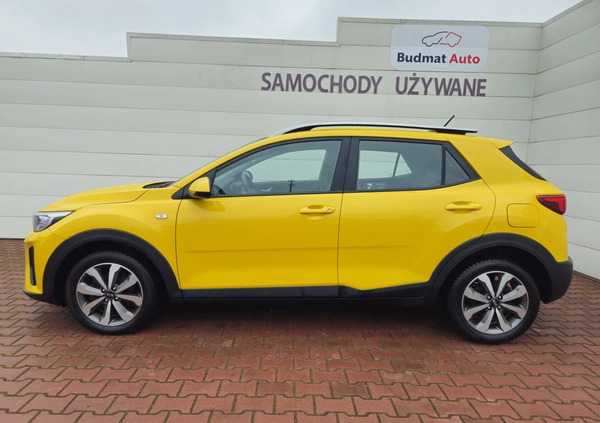 Kia Stonic cena 69900 przebieg: 55240, rok produkcji 2021 z Dzierzgoń małe 191